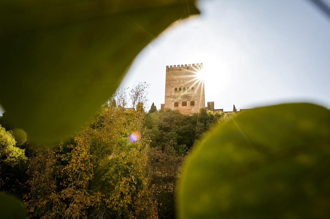 VANESA JIMENEZ FOTOGRAFA- GRANADA74
